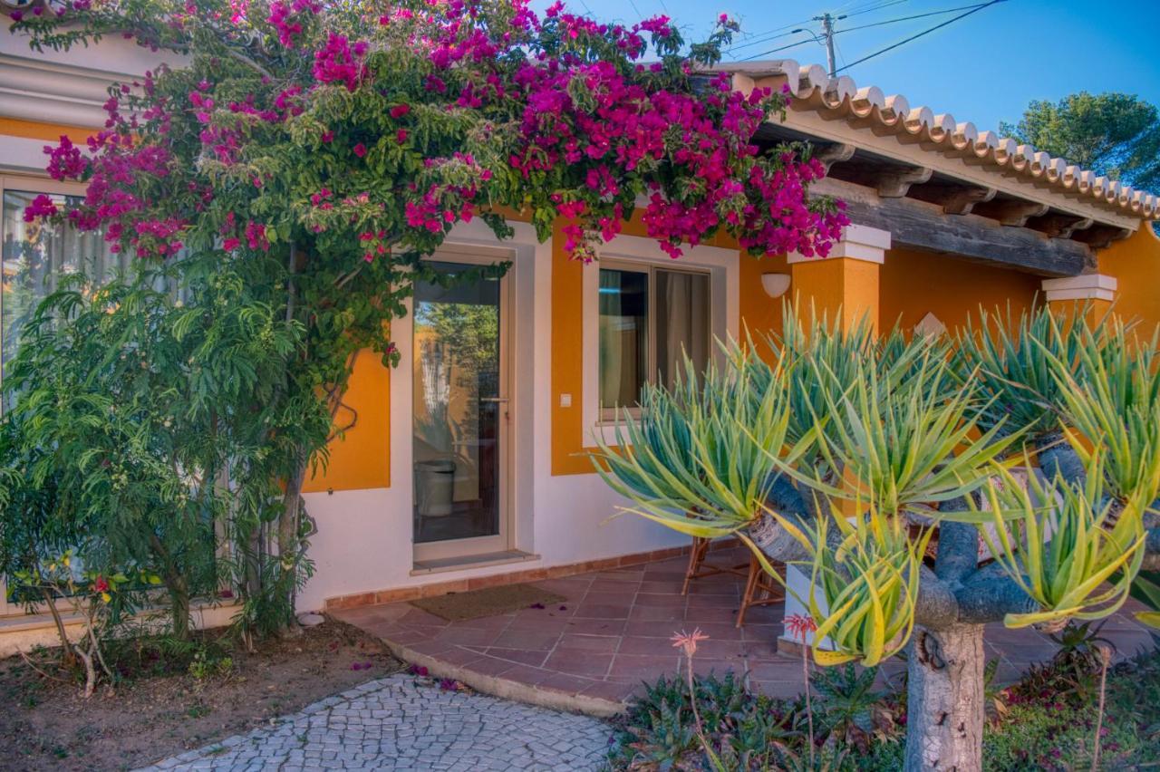 לאגוּ‏ש Moonshine Guest House With Private Studios And Private Cottage מראה חיצוני תמונה